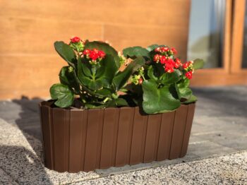 Plastový balkónový kvetináč DDECZ400 38,3 cm bude ideálnou voľbou pre vypestovanie rôznych okrasných kvetov, rastliniek či čerstvých byliniek, ktoré použijete v kuchyni ako prísadu do jedál. Farebné prevedenie hnedá a dizajn pripomínajúci malé latky mu dodávajú neprehliadnuteľný šmrnc. Vyrobený je…