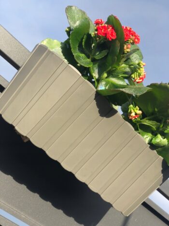 Plastový balkónový kvetináč DDECZ400 38,3 cm bude ideálnou voľbou pre vypestovanie rôznych okrasných kvetov, rastliniek či čerstvých byliniek, ktoré použijete v kuchyni ako prísadu do jedál. Farebné prevedenie sivý kameň a dizajn pripomínajúci malé latky mu dodávajú neprehliadnuteľný šmrnc.…