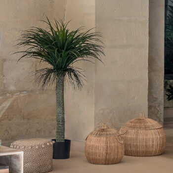 DEOKORK Umelé kvety YUCCA 150 cm