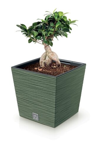 Hľadáte zaujímavý prvok či doplnok do obývačky, ktorý ju razom premení na pokojné elegantné miesto? Vhodným riešením, ktorý dokonale oživí interiér, či otvorený priestor, sa stane nízky plastový kvetináč DFS240 24 cm vo farebnom prevedení sivý betón, so zaujímavou, neprehliadnuteľnou prúžkovanou…