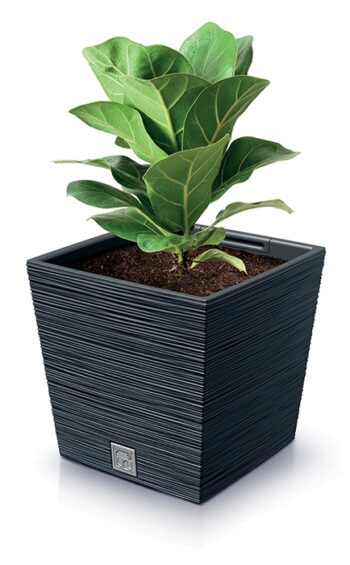 Hľadáte zaujímavý prvok či doplnok do obývačky, ktorý ju razom premení na pokojné elegantné miesto? Vhodným riešením, ktorý dokonale oživí interiér, či otvorený priestor, sa stane nízky plastový kvetináč DFS300 29,5 cm vo farebnom prevedení sivý betón, so zaujímavou, neprehliadnuteľnou prúžkovanou…