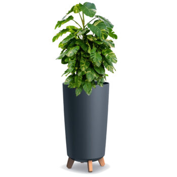 Betónový efekt a hladký povrch plastového kvetináča na nožičkách DGTL240E 23,9 cm, v krásnom prevedení marengo, vnesie do Vášho obydlia pokoj a príjemnú atmosféru. Na jeho výrobu bol použitý kvalitný a odolný plast, ktorý je jednoduchý na údržbu a jeho uhladený dizajn pôsobí vkusne a štýlovo. Stojí…