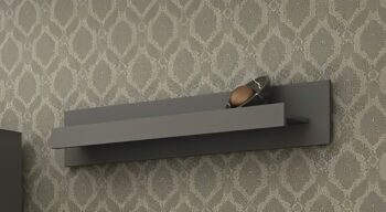 Polica Dolin S v grafitovej farbe je moderným doplnkom do vášho interiéru. Jej tmavá farba a jednoduchý dizajn sa hodí do každého priestoru, kde potrebujete pridať trochu organizácie a štýlu. Tento produkt je vyrobený z aglomerovaného materiálu DTD, ktorý je známy svojou odolnosťou a dlhou…