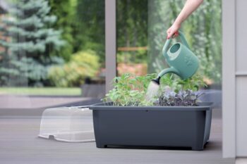 Prenosné plastové parenisko na nožičkách DREP770W 77 cm v nadčasovej farbe antracit sa stane neodmysliteľnou súčasťou Vášho záhradkárčenia a bude jednoduchým funkčným riešením pre pestovanie sadeníc aj v náročných klimatických podmienkach. Vďaka jeho rozmerom (ŠxHxV): 77x58x96,3 cm ho môžete…