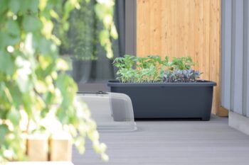 Prenosné plastové parenisko na nožičkách DREP770W 77 cm v nadčasovej farbe antracit sa stane neodmysliteľnou súčasťou Vášho záhradkárčenia a bude jednoduchým funkčným riešením pre pestovanie sadeníc aj v náročných klimatických podmienkach. Vďaka jeho rozmerom (ŠxHxV): 77x58x96,3 cm ho môžete…