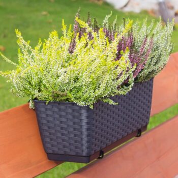 Plastový balkónový kvetináč DRL400PW 38,6 cm je obdĺžnikový kvetináč s textúrou imitujúcou vypletaný umelý ratan v krásnom prevedení antracit. Jeho súčasťou je praktická priehradka, ktorá sa postará o správne zavlažovanie rastlín. Predlžuje čas, počas ktorého je pôda vlhká, šetrí vodu menším…