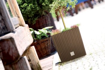 DRTS170L 17 cm je nízky, hranatý plastový kvetináč, ktorý sa vyznačuje svojou neprehliadnuteľnou textúrou imitujúcou prírodný ratanový výplet. Bude elegantným, estetickým a funkčným doplnkom Vašej záhrady, terasy, balkónov či interiéru. Rozmery tohto jedinečného doplnku sú (ŠxHxV): 17x17x17 cm…