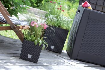 DRTS170L 17 cm je nízky, hranatý plastový kvetináč, ktorý sa vyznačuje svojou neprehliadnuteľnou textúrou imitujúcou prírodný ratanový výplet. Bude elegantným, estetickým a funkčným doplnkom Vašej záhrady, terasy, balkónov či interiéru. Rozmery tohto jedinečného doplnku sú (ŠxHxV): 17x17x17 cm…