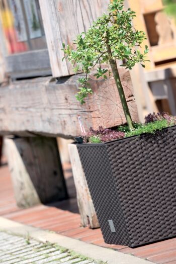 DRTS225L 22,5 cm je nízky, hranatý plastový kvetináč, ktorý sa vyznačuje svojou neprehliadnuteľnou textúrou imitujúcou prírodný ratanový výplet. Bude elegantným, estetickým a funkčným doplnkom Vašej záhrady, terasy, balkónov či interiéru. Rozmery tohto jedinečného doplnku sú (ŠxHxV): 22,3x22,3x22,8…