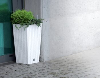 DRTS240 24 cm je vysoký, hranatý plastový kvetináč, ktorý sa vyznačuje svojou neprehliadnuteľnou textúrou imitujúcou prírodný ratanový výplet. Bude elegantným, estetickým a funkčným doplnkom Vašej záhrady, terasy, balkónov či interiéru. Rozmery tohto jedinečného doplnku sú (ŠxHxV): 24x24x44,9 cm…