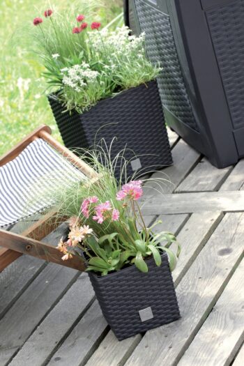 DRTS400L 40 cm je nízky, hranatý plastový kvetináč, ktorý sa vyznačuje svojou neprehliadnuteľnou textúrou imitujúcou prírodný ratanový výplet. Bude elegantným, estetickým a funkčným doplnkom Vašej záhrady, terasy, balkónov či interiéru. Rozmery tohto jedinečného doplnku sú (ŠxHxV): 40x40x40,8 cm…