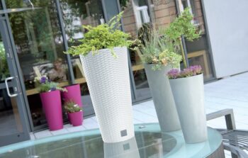 DRTUS300 30 cm je vysoký, štíhly plastový kvetináč, ktorý sa vyznačuje svojou neprehliadnuteľnou textúrou imitujúcou prírodný ratanový výplet. Bude elegantným, estetickým a funkčným doplnkom Vašej záhrady, terasy, balkónov či interiéru. Rozmery tohto jedinečného doplnku sú (ŠxHxV): 30x30x57,2 cm…