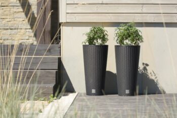 DRTUS400 40 cm je štíhly, vysoký plastový kvetináč, ktorý sa vyznačuje svojou neprehliadnuteľnou textúrou imitujúcou prírodný ratanový výplet. Bude elegantným, estetickým a funkčným doplnkom Vašej záhrady, terasy, balkónov či interiéru. Rozmery tohto jedinečného doplnku sú (ŠxHxV): 40x40x76,3 cm…