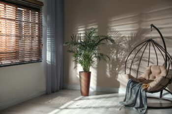 Veľmi moderný a originálny dizajn so sebou, k Vám do interiéru, či záhrady prináša plastový kvetináč DTUS200C 20 cm. Materiál použitý na jeho výrobu je vysokokvalitný plast, ktorý je odolný voči UV žiareniu a poveternostným vplyvom. Vyznačuje sa nízkou váhou a jednoducho sa udržiava. Jeho súčasťou…