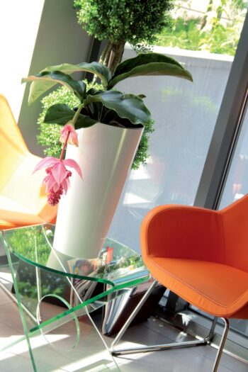 Veľmi moderný a originálny dizajn so sebou, k Vám do interiéru, či záhrady prináša plastový kvetináč DTUS200S 20 cm. Materiál použitý na jeho výrobu je vysokokvalitný plast, ktorý je odolný voči UV žiareniu a poveternostným vplyvom. Vyznačuje sa nízkou váhou a jednoducho sa udržiava. Jeho súčasťou…