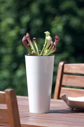 Veľmi moderný a originálny dizajn so sebou, k Vám do interiéru, či záhrady prináša plastový kvetináč DTUS300S 30 cm. Materiál použitý na jeho výrobu je vysokokvalitný plast, ktorý je odolný voči UV žiareniu a poveternostným vplyvom. Vyznačuje sa nízkou váhou a jednoducho sa udržiava. Jeho súčasťou…