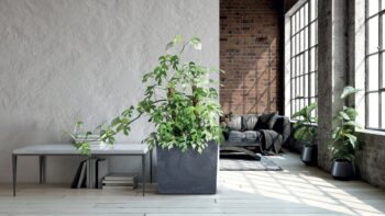 Veľký hranatý plastový kvetináč DUC600TE 60 cm je vhodný na celoročné použitie, či už v interiéri alebo v exteriéri. Vďaka jeho krásnemu prevedeniu v tmavosivej farbe, ktoré imituje betón, sa bude dokonale vynímať na terase, záhrade, balkóne či v obývačke alebo všade tam, kde si zmyslíte. Je…