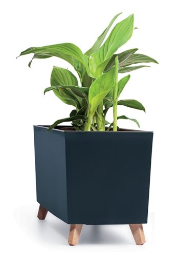 Nebojte sa experimentovať, povoľte uzdu fantázii a vytvorte nádherné podlahové aranžmány kvetov v obývačke, na terase alebo všade tam, kde Vás v interiéri a exteriéri napadne a kde sa Vám to práve hodí. Plastový kvetináč na nožičkách DUC800N 77 cm v nádhernom prevedení biela, je veľmi moderný,…