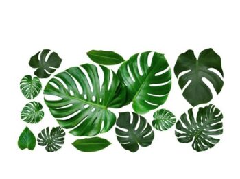 Dekoračná nálepka na stenu s motívom listov 60 x 120 cm