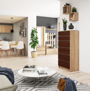 Komoda HEDDI60: Elegantné spojenie duba Sonoma s wenge Typ tovaru: Komoda, skrinka Štýlová komoda HEDDI60 v sebe kombinuje prirodzený vzhľad  duba Sonoma s elegantným a temným odtieňom wenge. Tento nábytok je ideálnou voľbou pre spálne a obývacie izby, kde chcete vytvoriť atmosféru modernosti a zároveň útulnosti.  Materiál:< /strong> Odolný LTD Rozmer: 130 x 60 x 40 cm Farba: Dub Sonoma v kombinácii s hlbokým wenge  Vybavenie: 6 praktických zásuviek a ďalšie úložné priestory Štýl: Moderné a dizajnové prevedenie  Vzhľad: Vysoký dizajn, ktorý dominuje interiéru  Komoda HEDDI60 je skvostom medzi nábytkom, ktorý kombinuje moderný dizajn s kvalitnými materiálmi a praktickosťou. Jej mnohostrannosť a výrazný vzhľad urobia z každej miestnosti skvost.