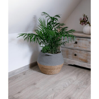 Pletený kôš Elif 26x29 cm v elegantnej kombinácii sivej a prírodnej farby je ideálnym doplnkom pre váš interiér. Tento moderný kôš od značky KONDELA je navrhnutý tak, aby spĺňal nielen estetické, ale aj praktické požiadavky na úložný priestor. Vďaka svojmu okrúhlemu tvaru a kompaktným rozmerom…