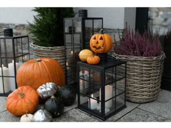 Predstavujeme vám kovový lampáš Elijar Typ 3 s výškou 56,5 cm v elegantnej čiernej farbe. Tento moderný a štýlový doplnok je ideálny pre interiérové použitie, kde dodá vášmu priestoru jedinečný vzhľad a atmosféru.