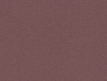 Čalúnená manželská posteľ s roštom EVORA 140 vďaka svojmu unikátnemu a nezvyčajnému dizajnu zapadne do každej modernej či klasickej spálne. Posteľ je celočalúnená kvalitnou látkou, ktorá je príjemná na dotyk, nechladí a je vyrobená vo farebnom prevedení ružová (Velvet Mat 63), no na výber je aj…