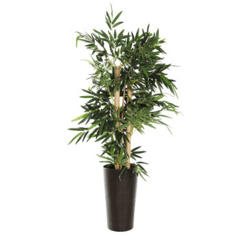 Plastový kvetináč Floron v elegantnej hnedej farbe je ideálnym riešením pre všetkých milovníkov rastlín, ktorí hľadajú moderný a praktický doplnok do svojho interiéru alebo exteriéru. Tento kvetináč od značky KONDELA sa vyznačuje jednoduchou montážou a je dodávaný už zmontovaný, čo vám ušetrí…