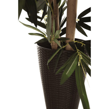 Plastový kvetináč Floron v elegantnej hnedej farbe je ideálnym riešením pre všetkých milovníkov rastlín, ktorí hľadajú moderný a praktický doplnok do svojho interiéru alebo exteriéru. Tento kvetináč od značky KONDELA sa vyznačuje jednoduchou montážou a je dodávaný už zmontovaný, čo vám ušetrí…