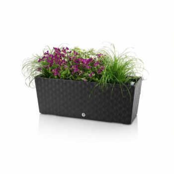 Flower Lover Samozavlažovací truhlík Supreme sivá, 50 cm, 50 cm