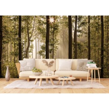 Fototapeta XXL Forest 360 x 254 cm, 4 diely