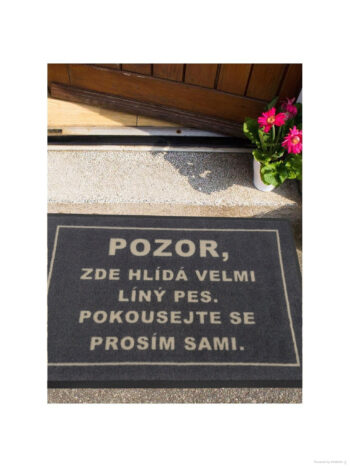 GDmats, Rohožka Lenivý pes 40x60 cm – na von aj na doma, 40x60, šedá