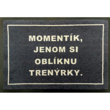 GDmats, Rohožka s vlastnou potlačou (logom) na mieru MK415 Velour – na von aj na doma, 60x75, viacfarebná