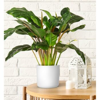 Gardenico Kvetináč Lora biela, pr. 25 cm, pr. 25 cm