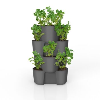 Gardenico Pestovateľská nádoba na zemiaky antracit