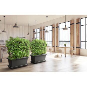 Gardenico Vertikálna podpera Green Wall Magnus, 80 cm, 80 cm