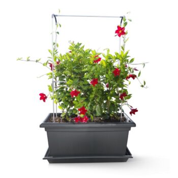 Gardenico Vertikálna podpera Green Wall Magnus, 80 cm, 80 cm