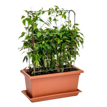 Gardenico Vertikálna podpera Green Wall Magnus, 80 cm, 80 cm