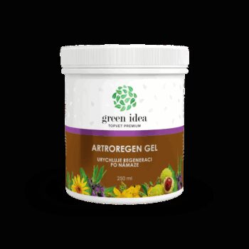 Green Idea Artroregen masážny gél, 250 ml