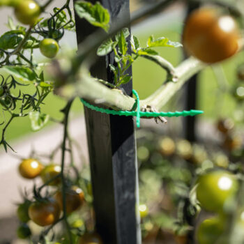Oporá tyč k rastlinám Homs je ideálnym riešením pre všetkých záhradkárov, ktorí chcú poskytnúť svojim rastlinám potrebnú oporu a stabilitu. Tento set obsahuje dve tyče, ktoré sú vyrobené z masívneho dreva, čo zaručuje ich pevnosť a dlhú životnosť. S výškou 120 cm a hranatým tvarom sú tieto tyče…