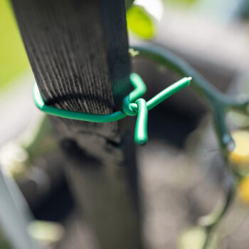 Oporá tyč k rastlinám Homs je ideálnym riešením pre všetkých záhradkárov, ktorí chcú poskytnúť svojim rastlinám potrebnú oporu a stabilitu. Tento set obsahuje dve tyče, ktoré sú vyrobené z masívneho dreva, čo zaručuje ich pevnosť a dlhú životnosť. S výškou 120 cm a hranatým tvarom sú tieto tyče…