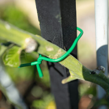 Oporá tyč k rastlinám Homs je ideálnym riešením pre všetkých záhradkárov, ktorí chcú poskytnúť svojim rastlinám potrebnú oporu a stabilitu. Tento set obsahuje dve tyče, ktoré sú vyrobené z masívneho dreva, čo zaručuje ich pevnosť a dlhú životnosť. S výškou 120 cm a hranatým tvarom sú tieto tyče…