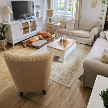 Hanse Home, Kusový koberec Beach 103854 Cream / Beige – na von aj na doma, 240x340, biela, chodba / predsieň
