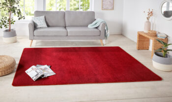Hanse Home, Kusový koberec Nasty 101151 Rot, 80x150, červená, chodba / predsieň
