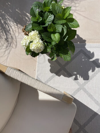 Hanse Home, Kusový koberec Twin Supreme 103760 Grey / Cream – na von aj na doma, 240x340, šedá, chodba / predsieň