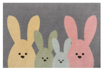 Hanse Home, Protišmyková rohožka Printy 104452 Grey, Multicolor, 40x60, viacfarebná, chodba / predsieň