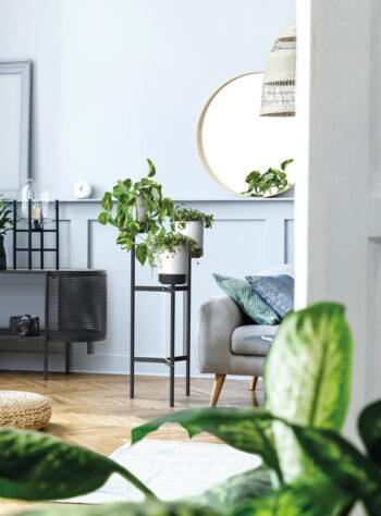 Kvetináč IKD3H je moderný a štýlový doplnok do každého interiéru. S jeho svetlou bielou farbou a kontrastnými čiernymi detailmi prinesie do vášho domova sviežosť a eleganciu. Tento kvetináč je vyrobený z kvalitného kovu, ktorý je doplnený o plastové prvky, čo mu dodáva pevnosť a odolnosť.