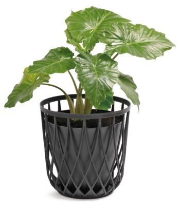 Praktický plastový univerzálny kôš IKUB20 20 l by nemal chýbať v žiadnej moderne či klasicky zariadenej domácnosti. Má nespočetné množstvo využití, vyznačuje sa štýlovým dizajnom a odolnosťou. Je možné ho využívať ako stabilné a pohodlné sedadlo, stolík na odkladanie drobností, či ako držiak na…