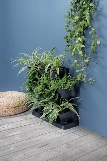 Kvety či bylinky potrebujú pre správny rast ideálne podmienky, v podobe vhodného priestoru, svetla a dostatku závlahy. Plastový vertikálny kvetináč IO2W600S sa postará o to, aby boli rastlinky dostatočne zavlažované a vystavené teplým slnečným lúčom. Kvetináč je vyrobený v prevedení antracit,…