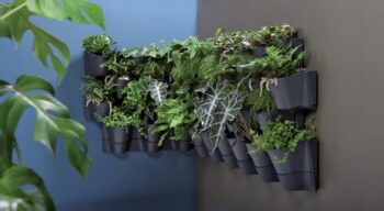 Kvety či bylinky potrebujú pre správny rast ideálne podmienky, v podobe vhodného priestoru, svetla a dostatku závlahy. Plastový vertikálny kvetináč IO2W600W sa postará o to, aby boli rastlinky dostatočne zavlažované a vystavené teplým slnečným lúčom. Kvetináč je vyrobený v prevedení antracit,…